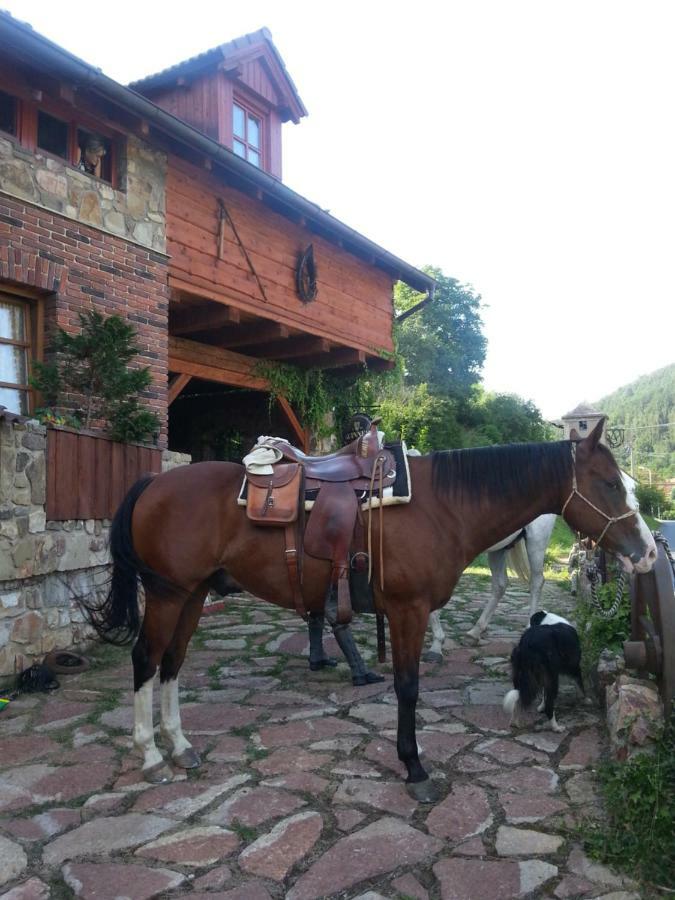 Ubytování Steak-Hredle Exteriér fotografie